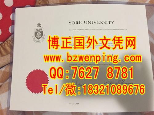 加拿大约克大学York University2016年学位证图