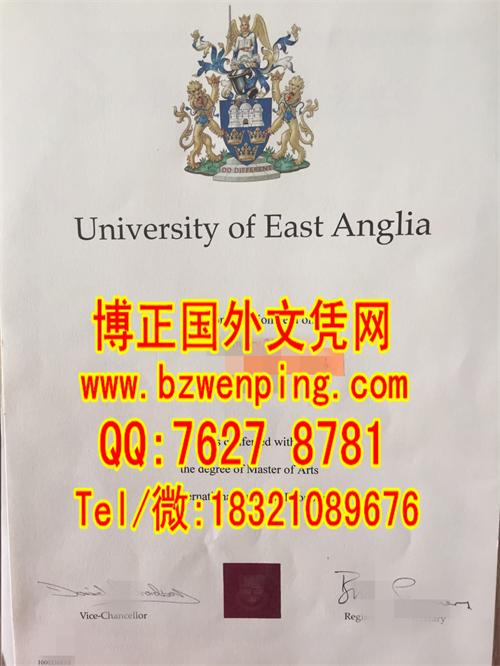 英国东安格利亚大学University of East Anglia2015年硕士学位证图