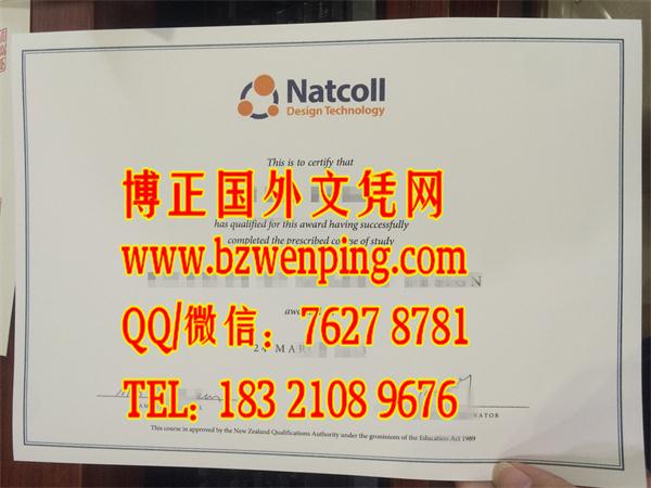 新西兰Natcoll设计学院Natcoll Design Technology diploma