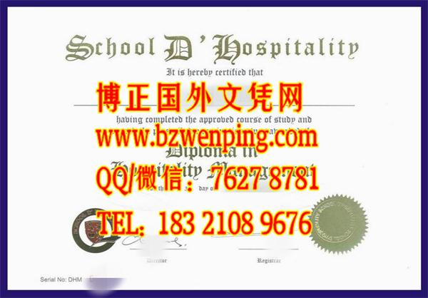 School D' Hospitality diploma｜新加坡酒店管理学院文凭样本｜购买新加坡大学文凭