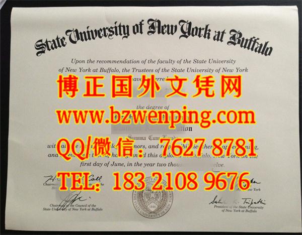 美国纽约州立大学布法罗分校文凭样式，University at Buffalo, the State University of New York diplom