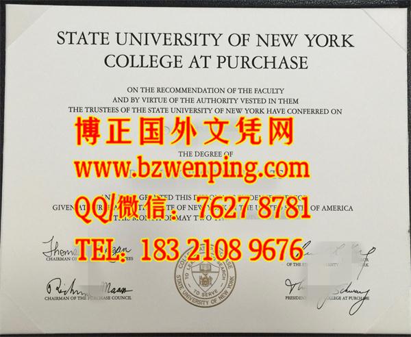 state university of new york college at purchase Diploma，美国纽约州立大学帕切斯学院文凭模版