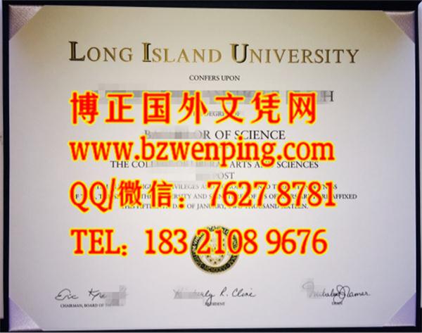 美国长岛大学Long Island University diploma毕业证样式，办理美国长岛大学文凭学位证书