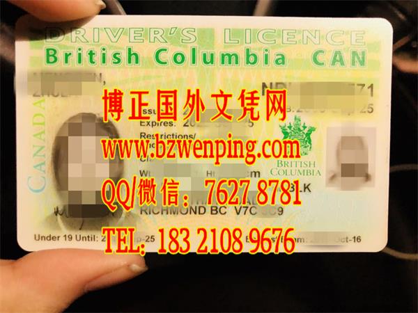 加拿大不列颠哥伦比亚省驾驶证案例，购买加拿大驾照，British Columbia Driver's license