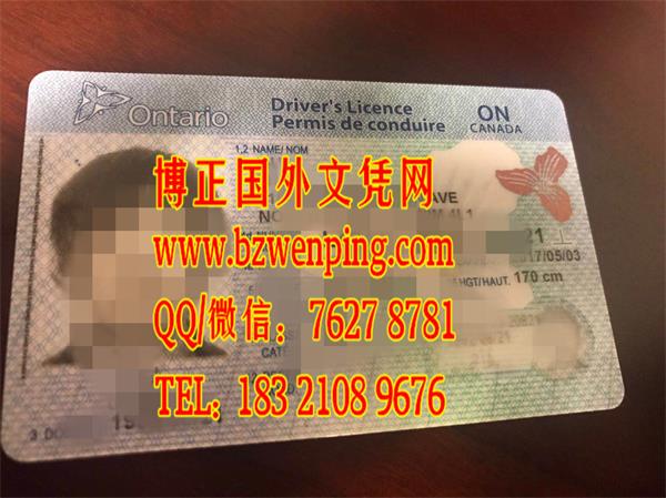 加拿大安大略省驾驶证样板，购买加拿大驾照，Driving permit in Ontario, Canada