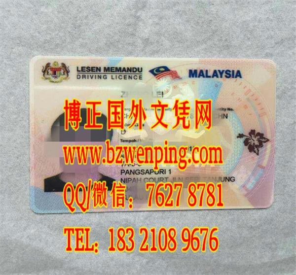 马来西亚驾驶证Malaysia driver's license，购买马来西亚驾驶照