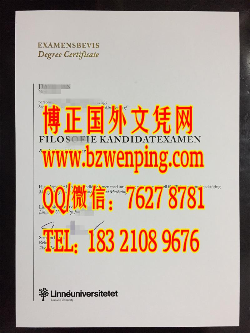 瑞典林奈大学毕业证书烫金LOGO，Linnaeus University diploma