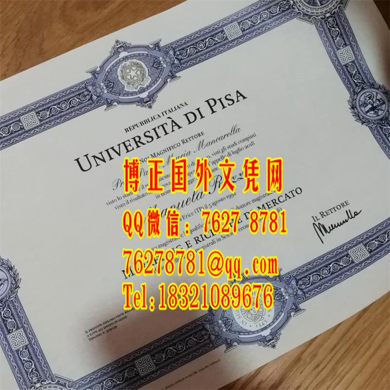 意大利比萨大学文凭毕业证，University of Pisa diploma