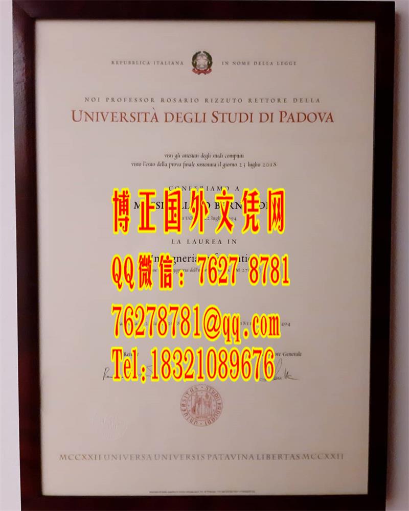 意大利帕多瓦大学学位毕业证，Università degli Studi di Padova diploma